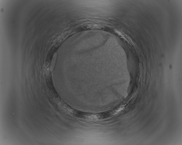 X0000085730513200704091447