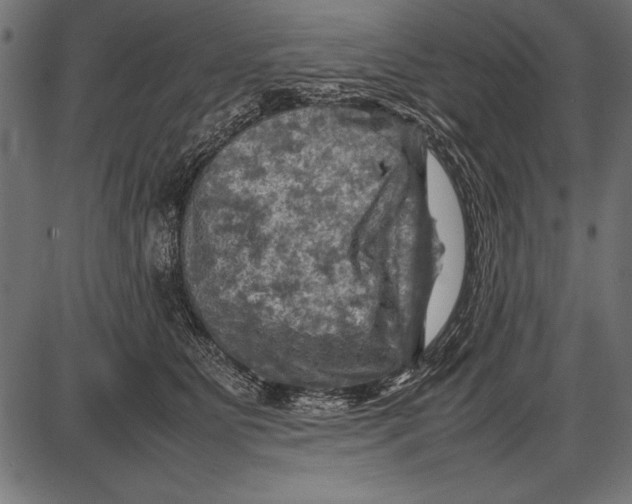 X0000085730515200704091447