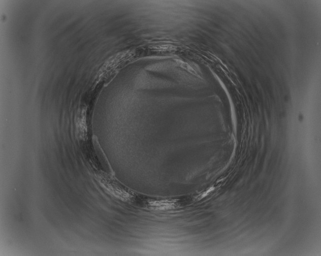 X0000085730516200704091447