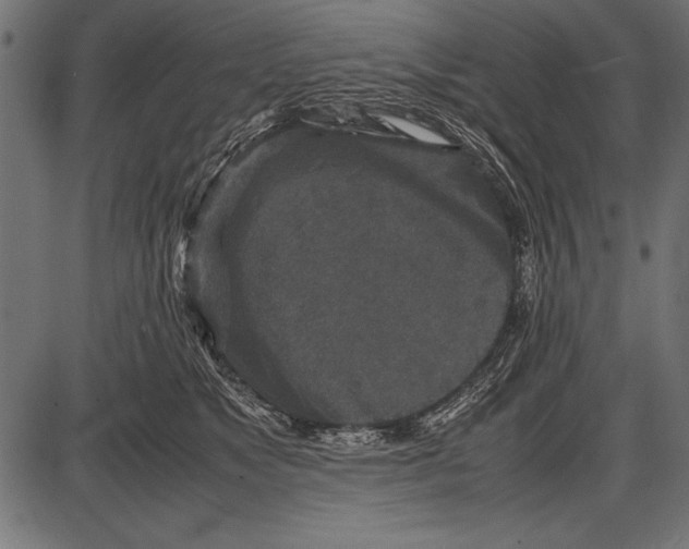 X0000085730517200704091447