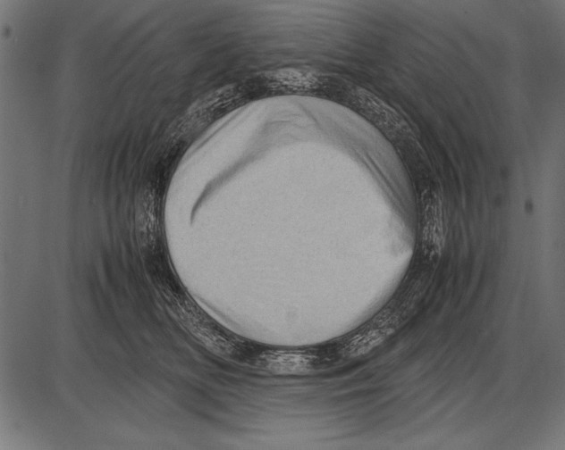 X0000085730518200704091447