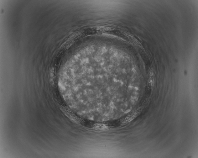 X0000085730519200704091447