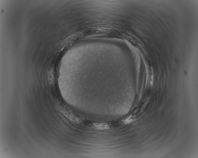 X0000085730520200704091447