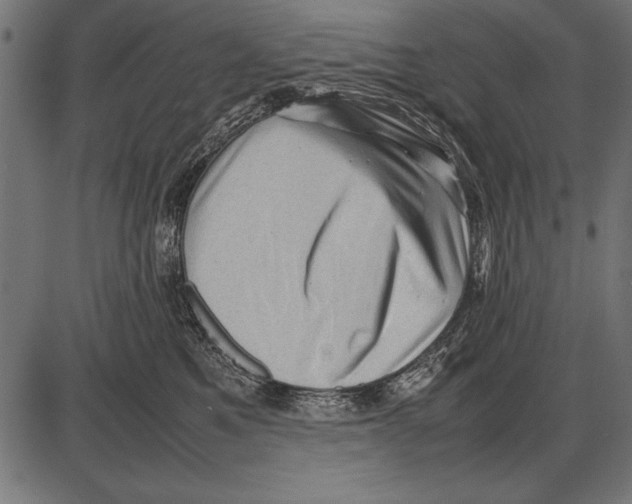 X0000085730521200704091447