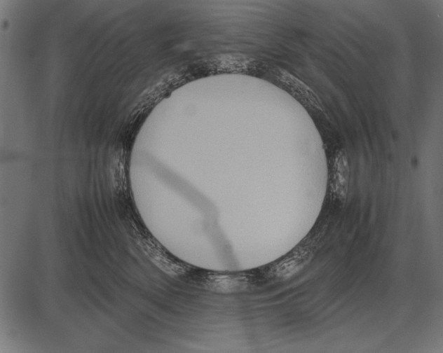 X0000085730522200704091447