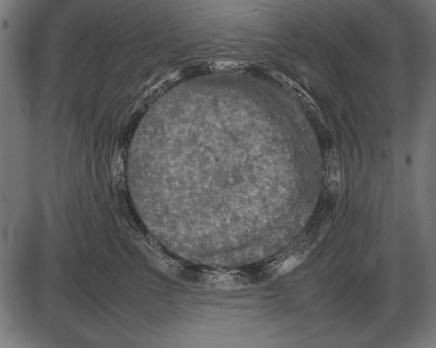 X0000085730523200704091447