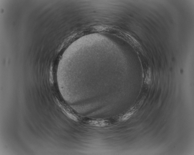 X0000085730524200704091447