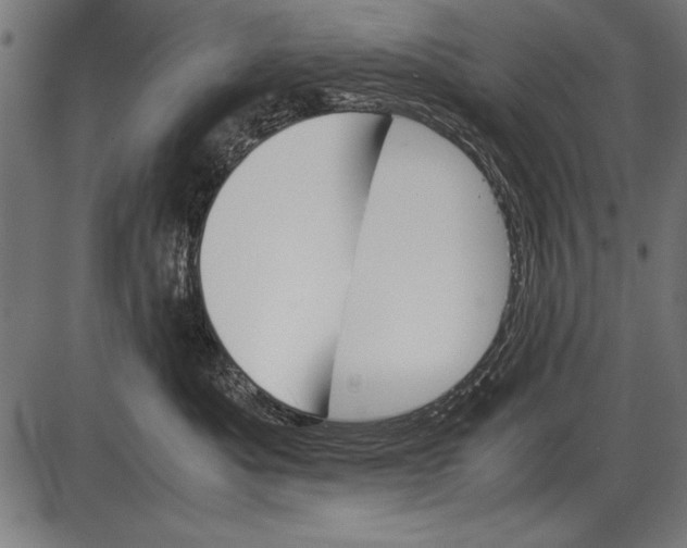 X0000085730525200704091447