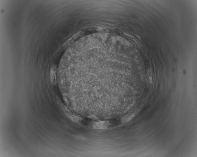 X0000085730527200704091447