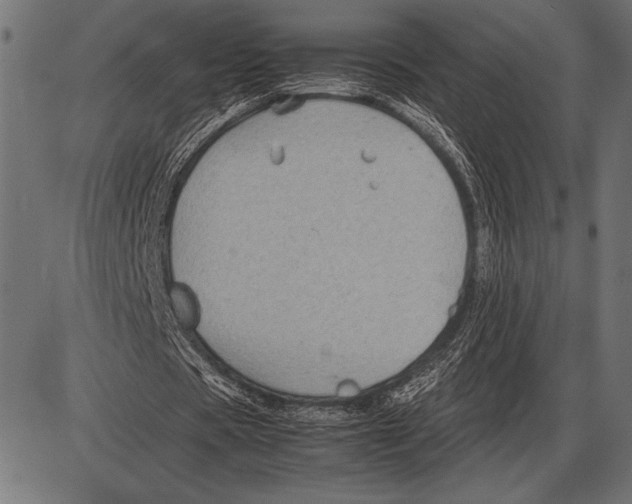 X0000085730529200704091446