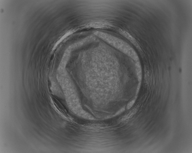 X0000085730530200704091446