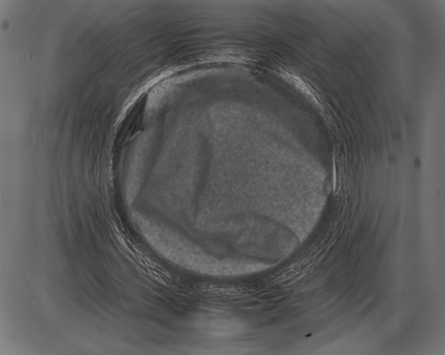 X0000085730531200704091446