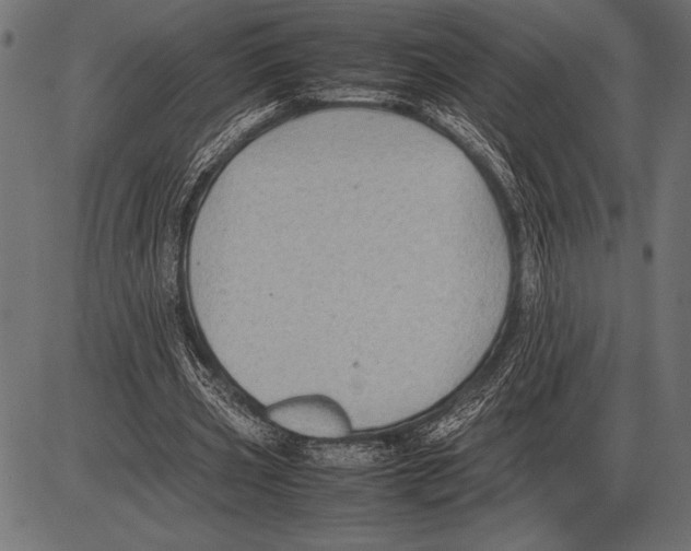 X0000085730533200704091446