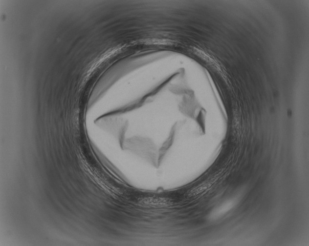 X0000085730535200704091446