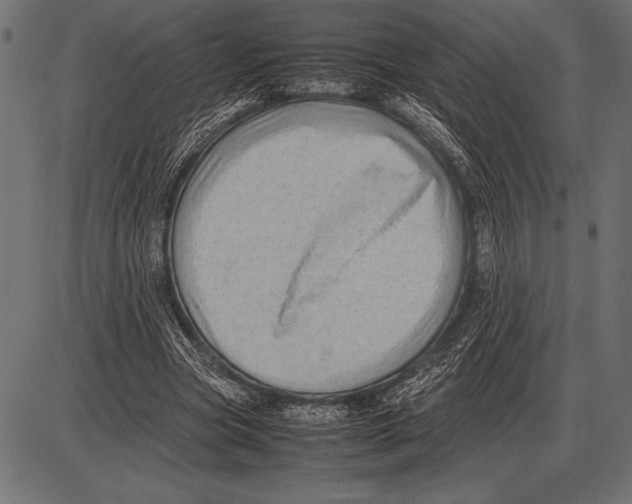 X0000085730537200704091446