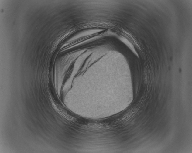 X0000085730538200704091447