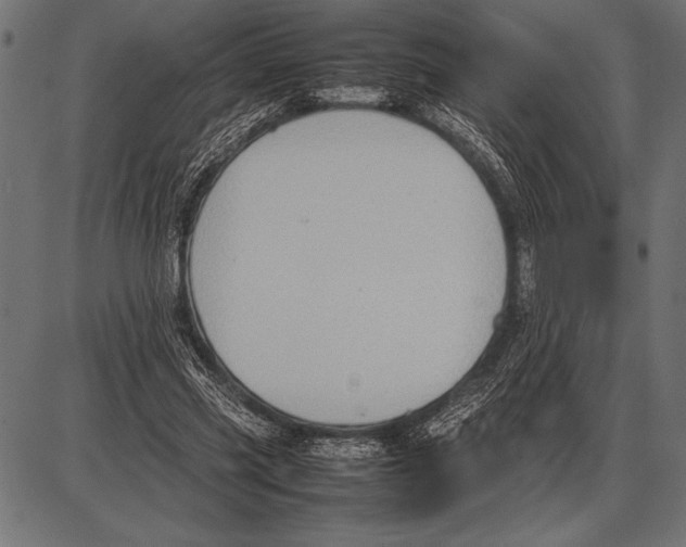 X0000085730541200704091447