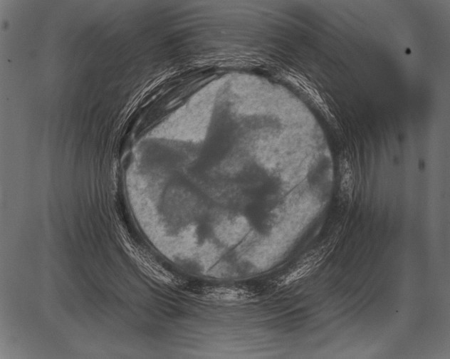 X0000085730542200704091447