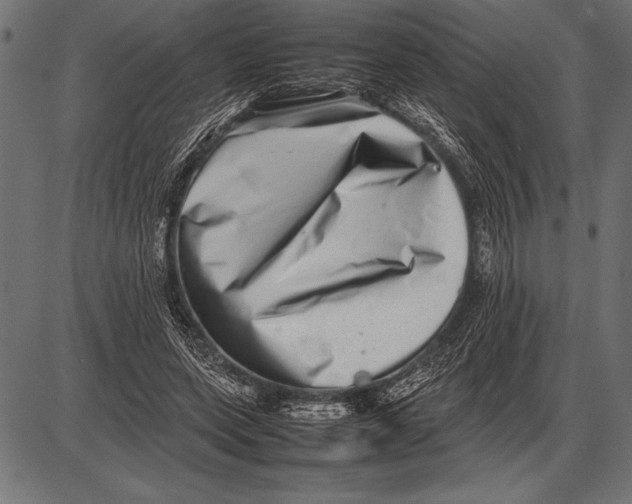 X0000085730543200704091447