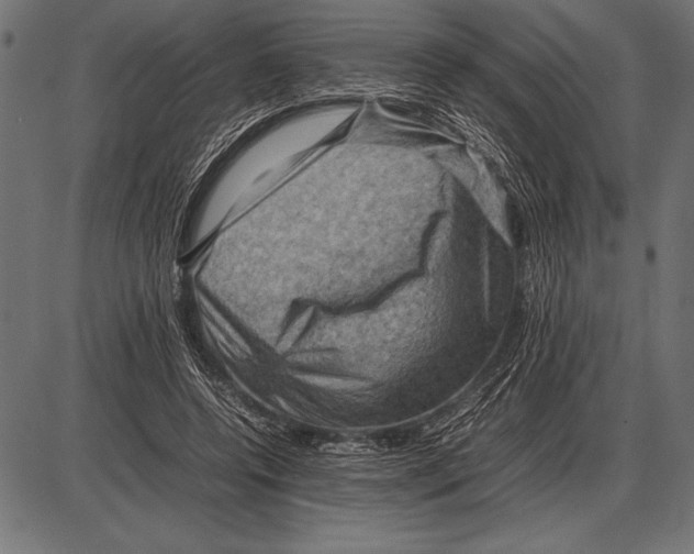 X0000085730544200704091447