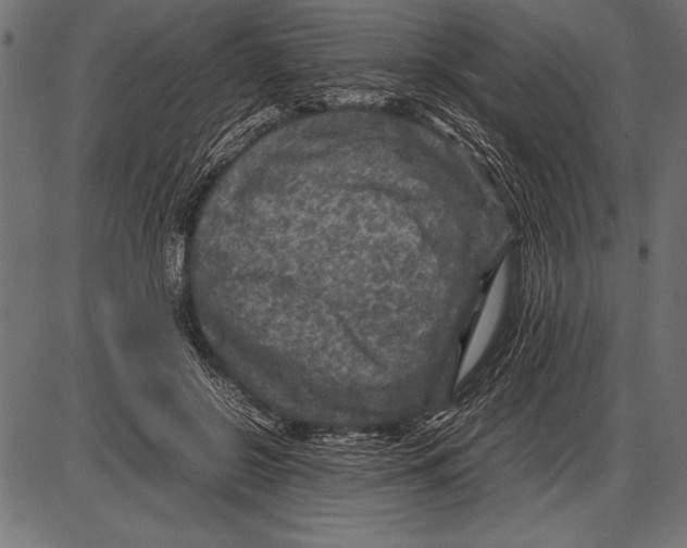 X0000085730550200704091447