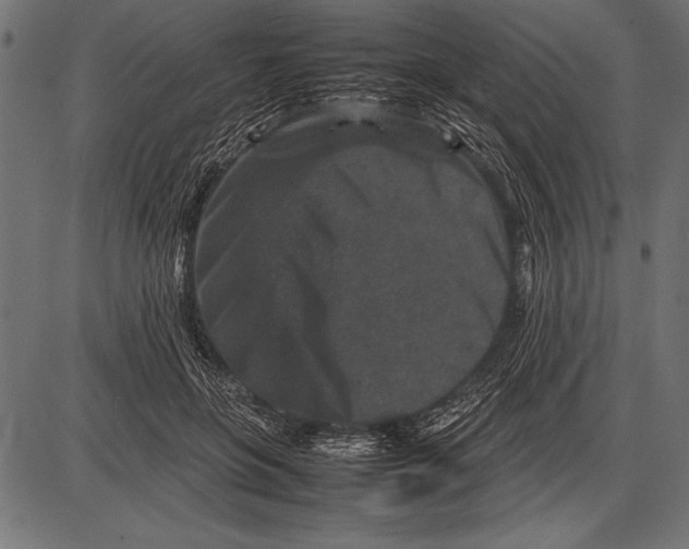 X0000085730551200704091447