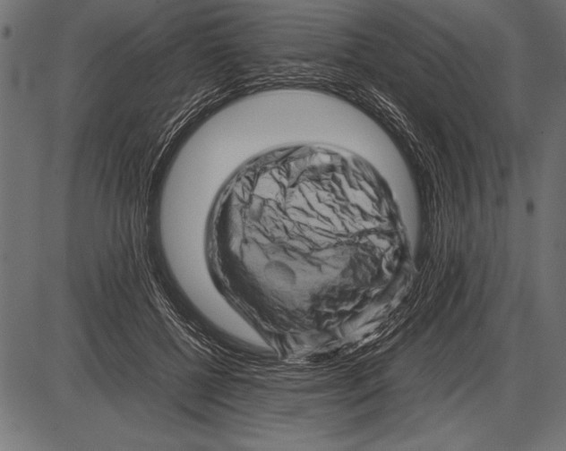 X0000085730552200704091447