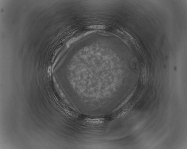 X0000085730553200704091447