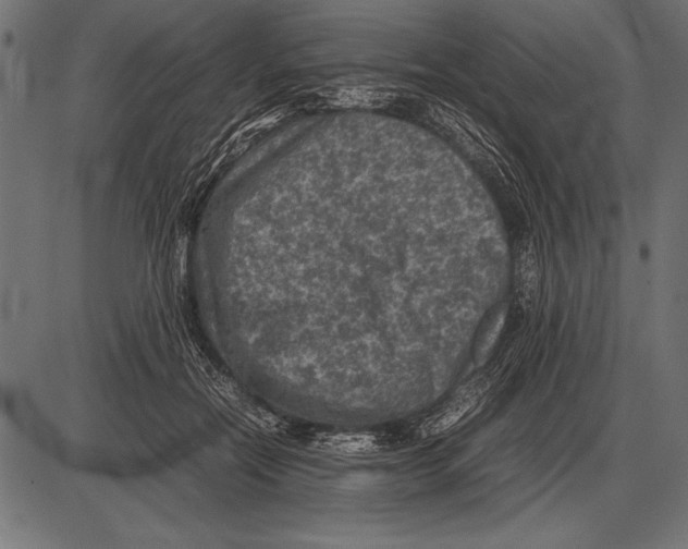 X0000085730554200704091447