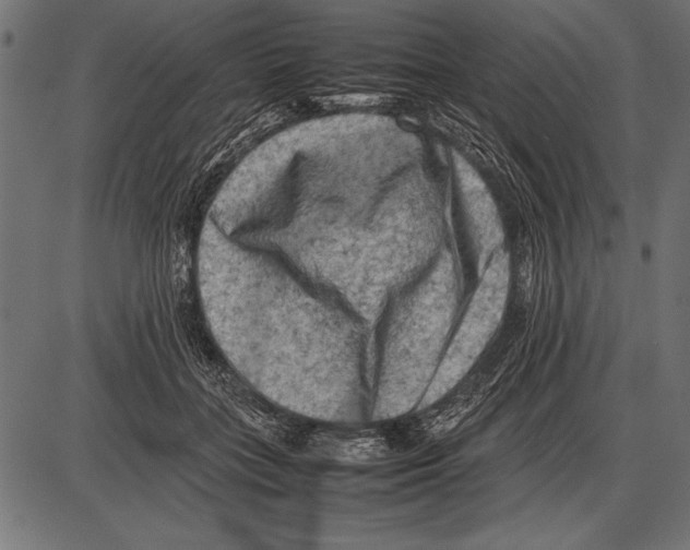 X0000085730555200704091447