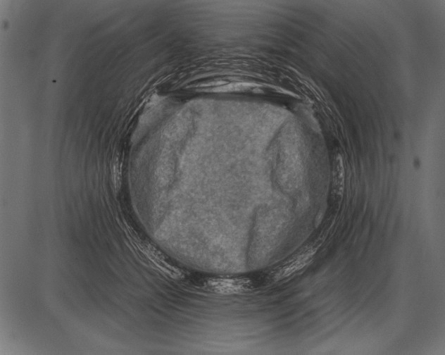 X0000085730558200704091447