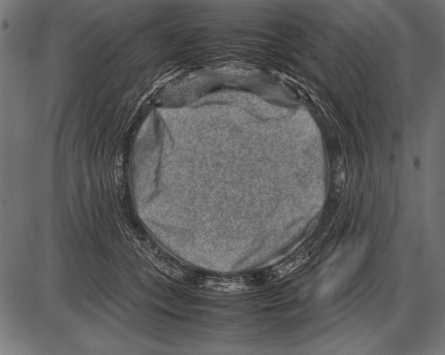 X0000085730559200704091447