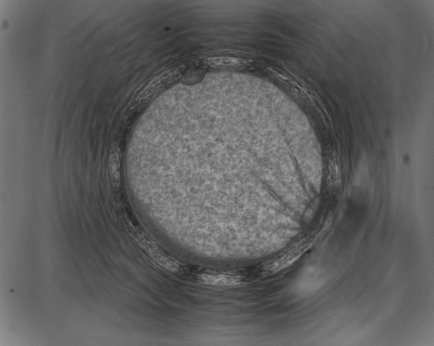 X0000085730561200704091447