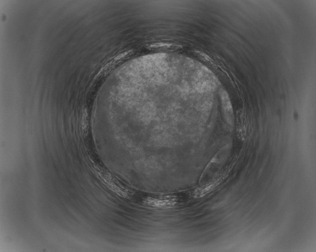 X0000085730563200704091447