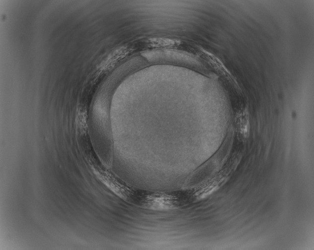 X0000085730564200704091447