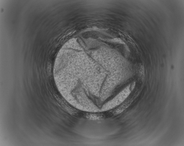 X0000085730565200704091447