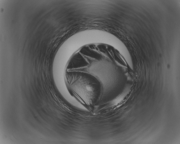 X0000085730566200704091447