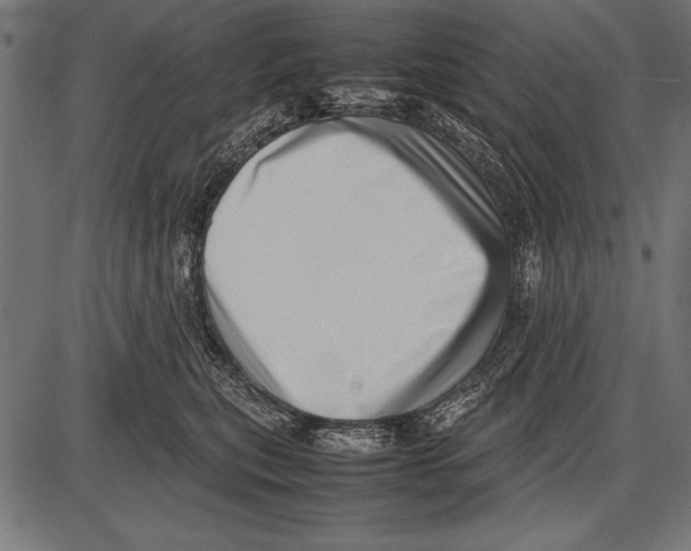 X0000085730567200704091447