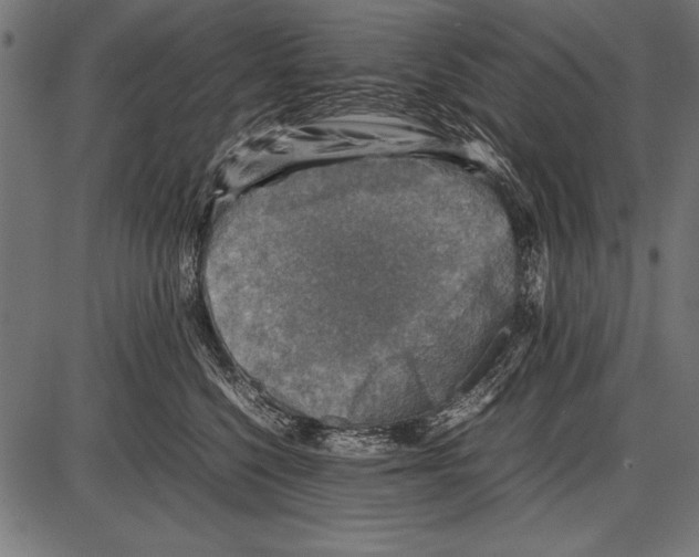 X0000085730568200704091447