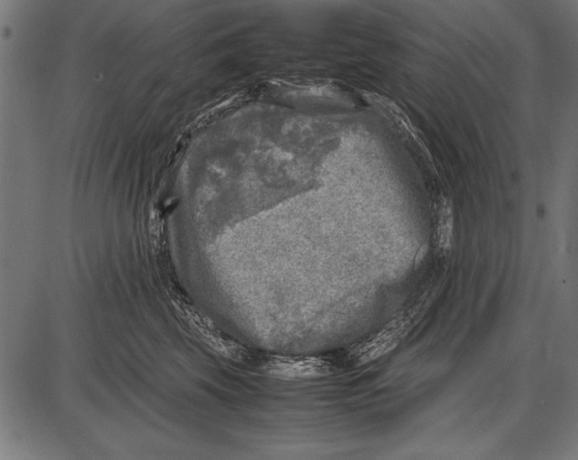 X0000085730569200704091447