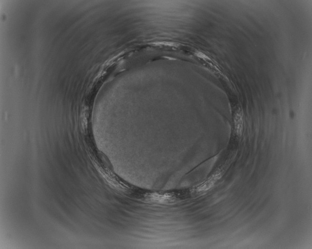 X0000085730570200704091447