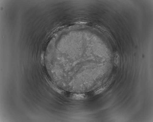 X0000085730573200704091447