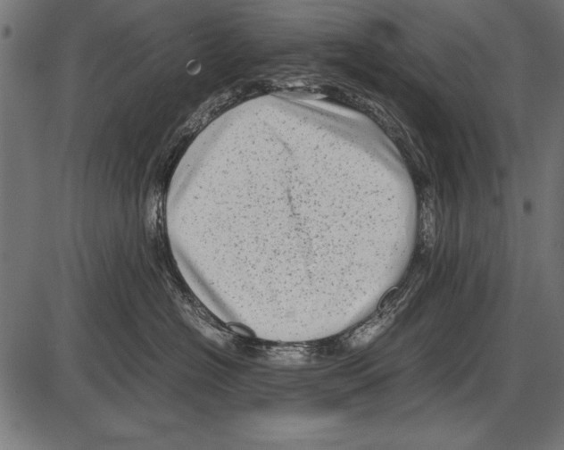 X0000085730574200704091447