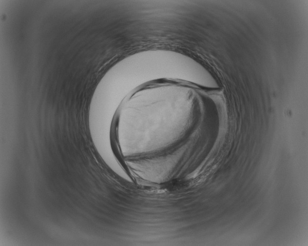 X0000085730576200704091447