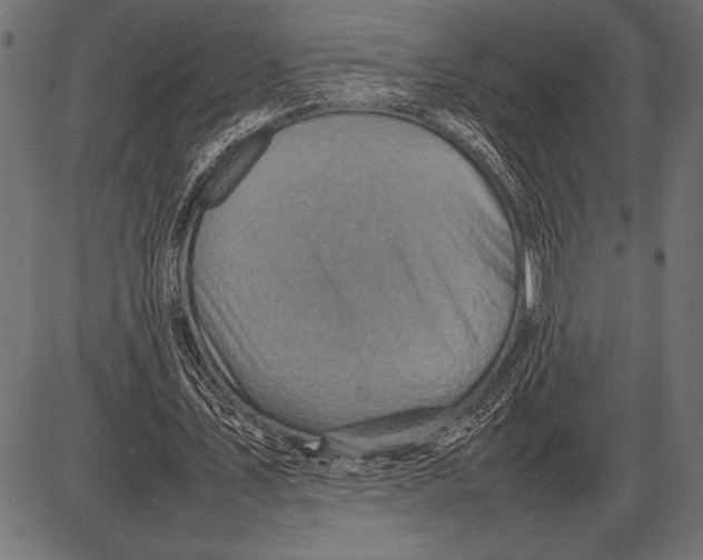 X0000085730579200704091446