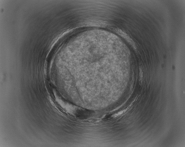 X0000085730580200704091446