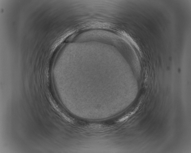 X0000085730581200704091446