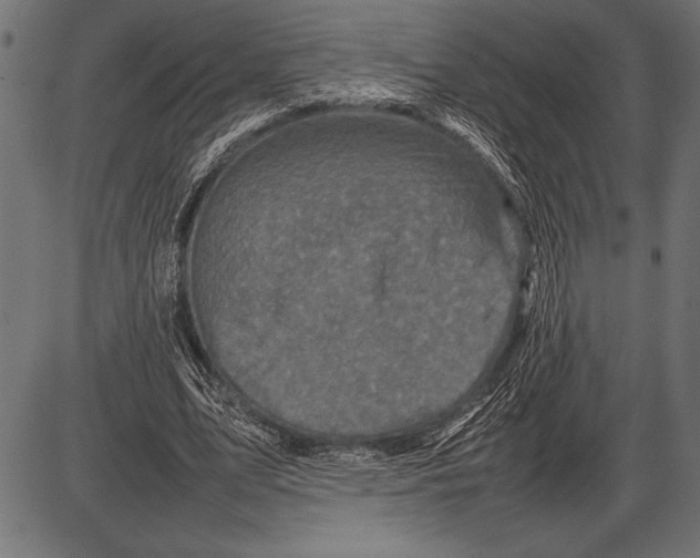 X0000085730583200704091446