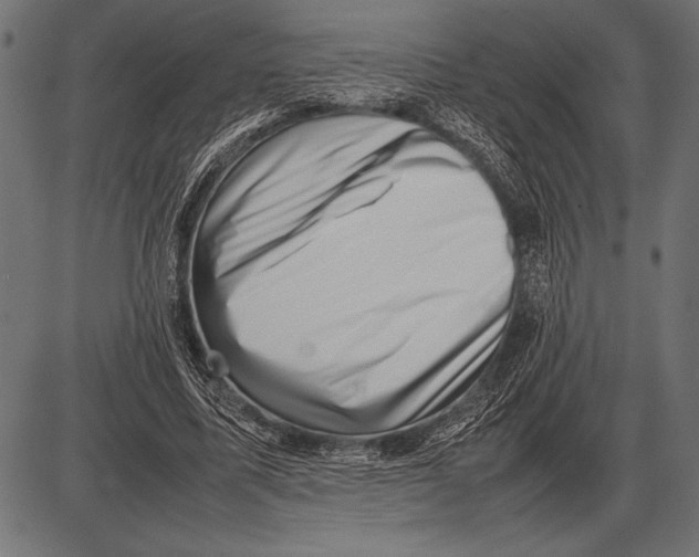 X0000085730587200704091446