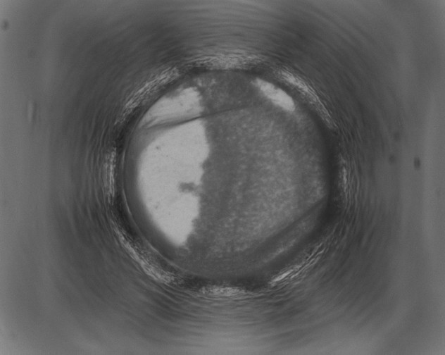 X0000085730590200704091446